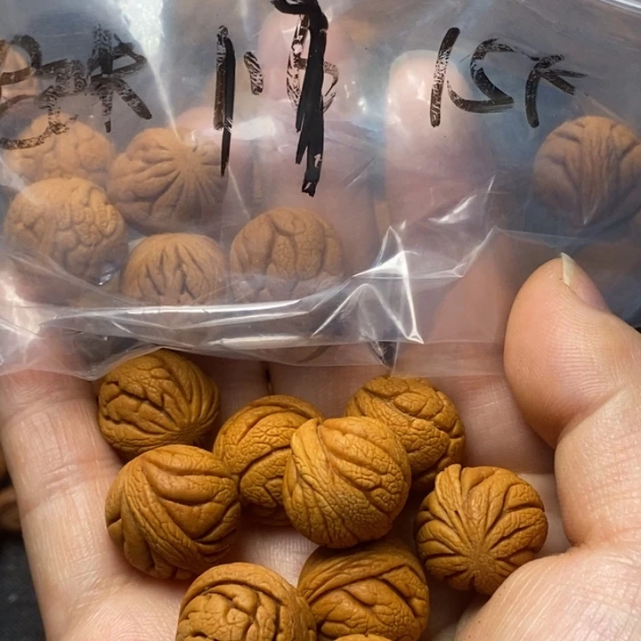 木质类秦岭山野生桃核