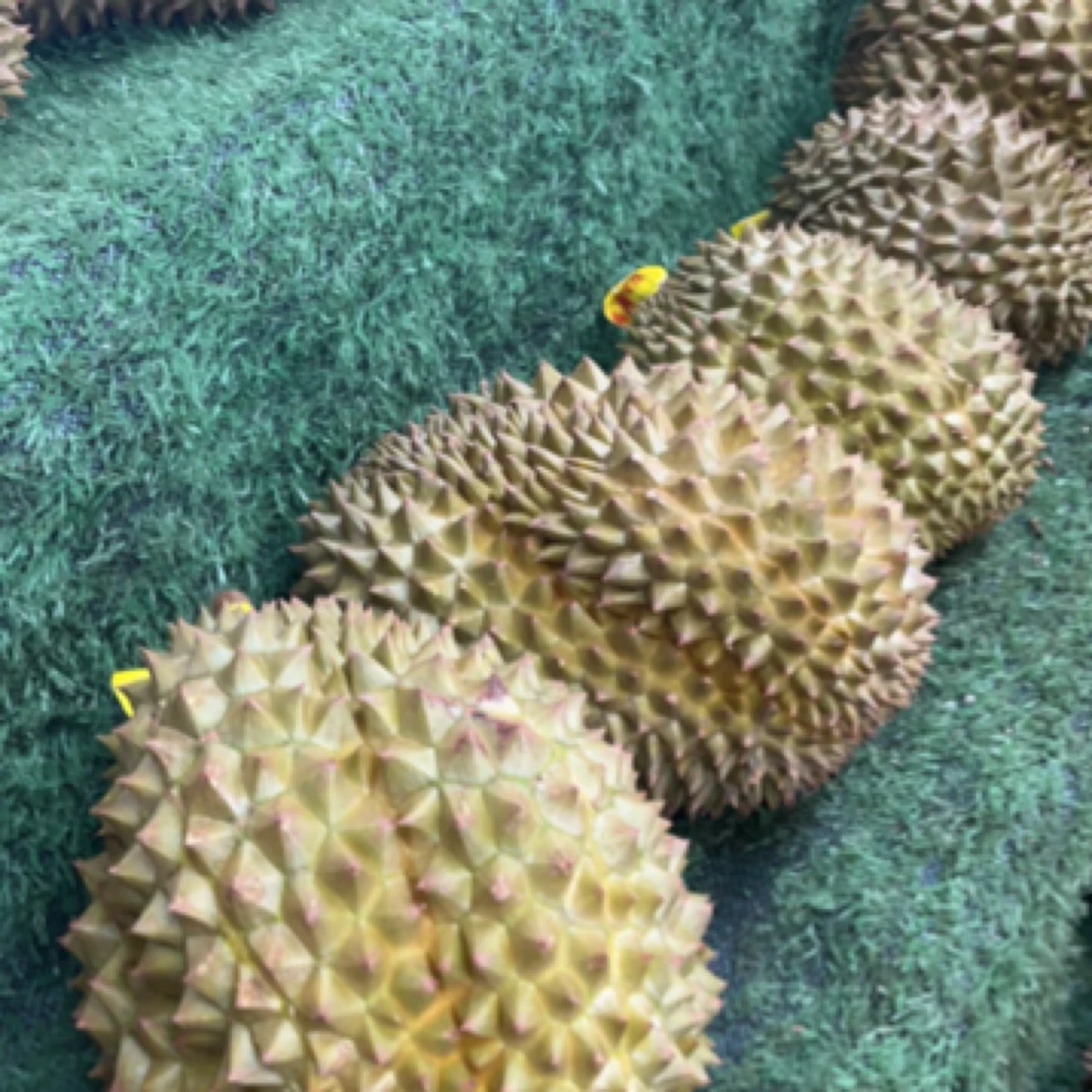 新鲜金枕榴莲 26.8斤 核小榴莲同城送榴莲银枕榴莲