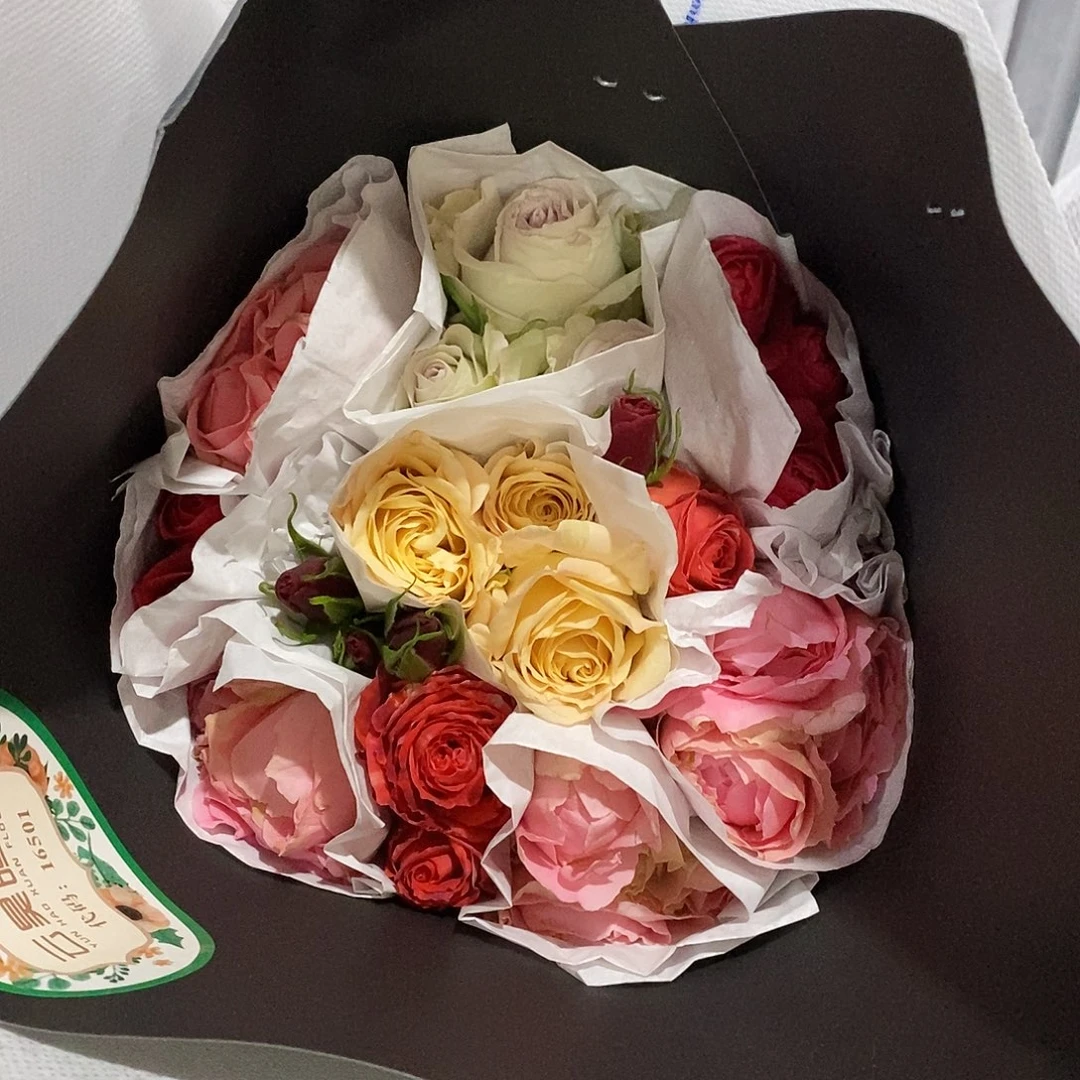 21号云昊10支混色多头玫瑰45cm/不包邮