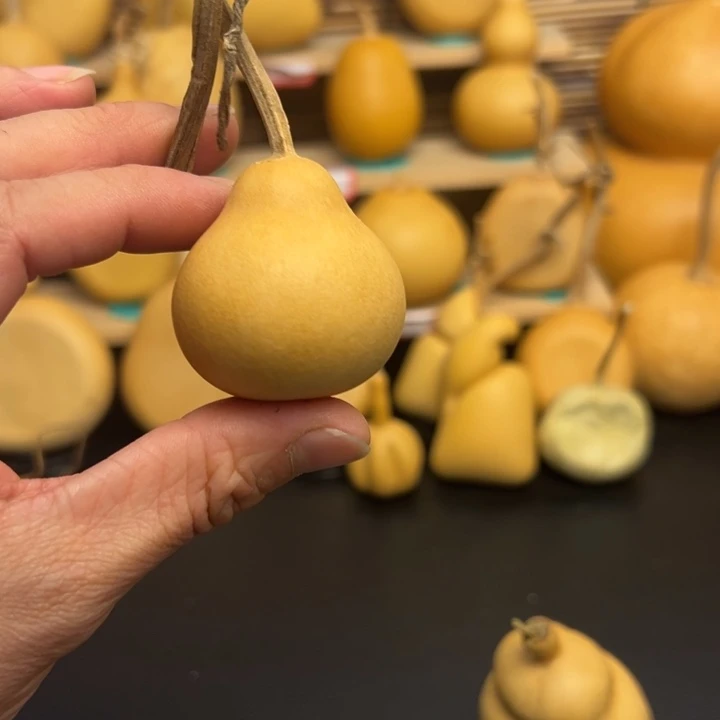 太****5669655655566655