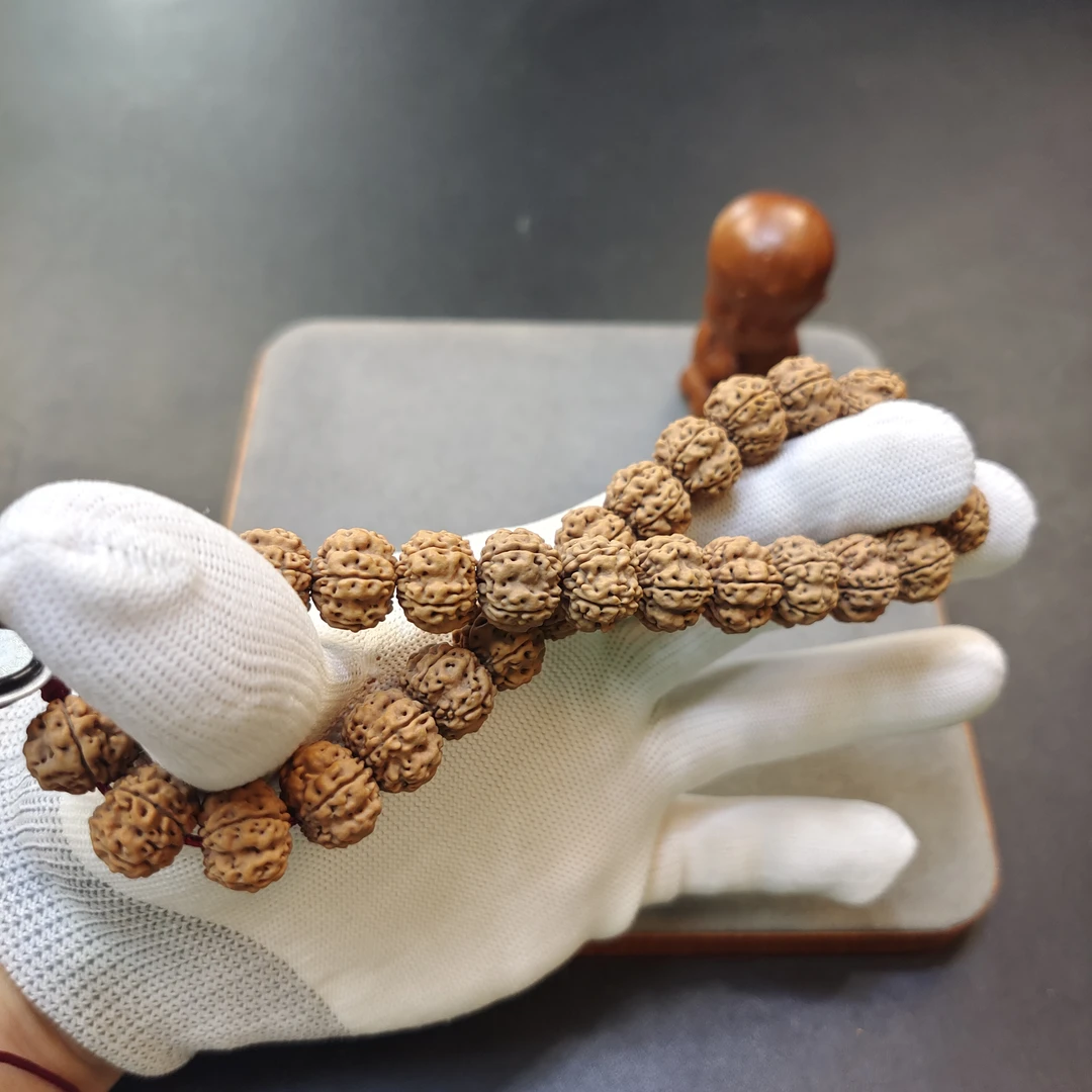 圣姐印尼红方印梅花小金刚菩提，号称雪花梅！