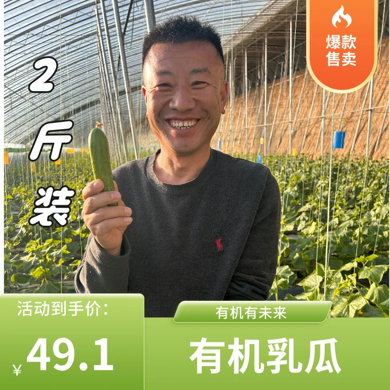 有机乳瓜（北纬41°内蒙草原种植）清甜可口，适合生吃