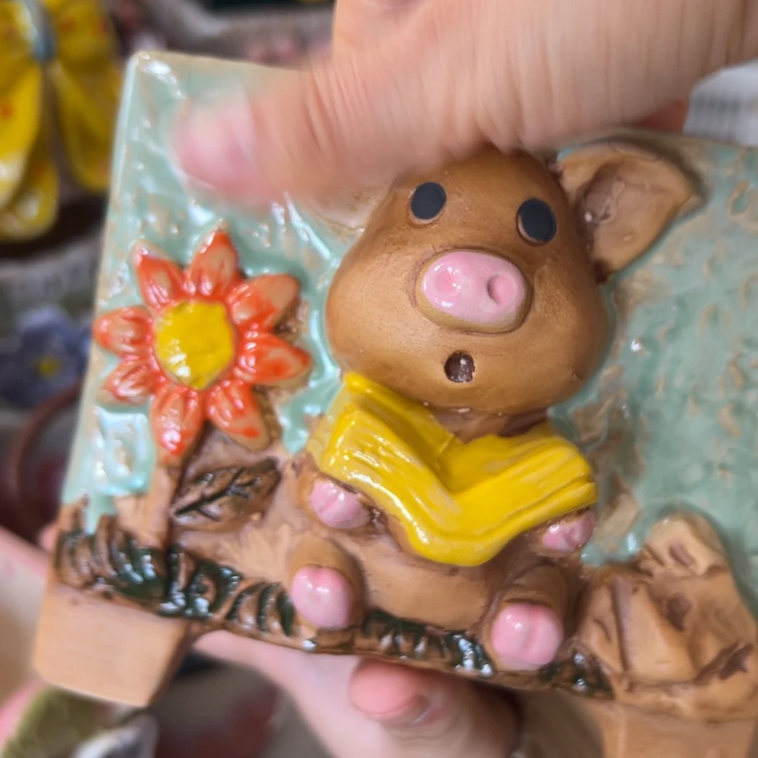 花盆，满20米发货，爱退款拉黑