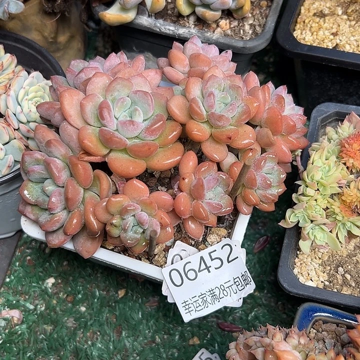 幸运的是我还没遇到过这样