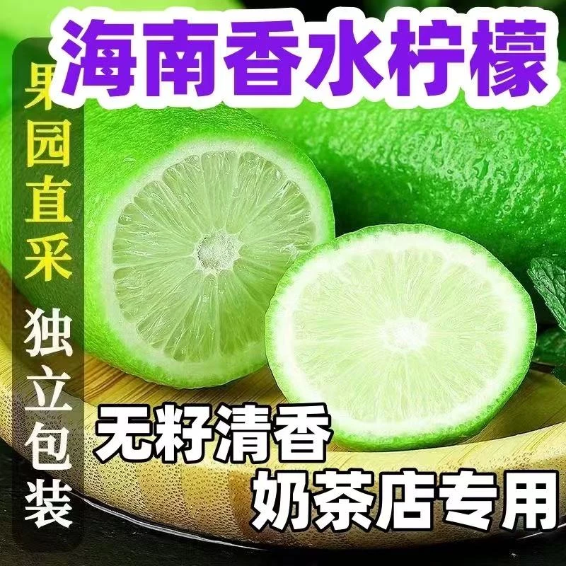 【无籽香水柠檬】正宗海南无籽香水柠檬皮薄多汁现摘现发