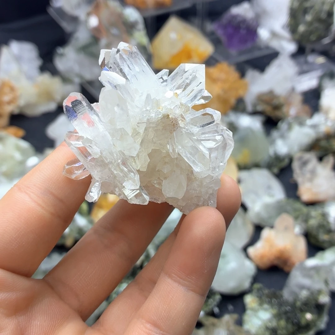 石材海胆白水簇哦