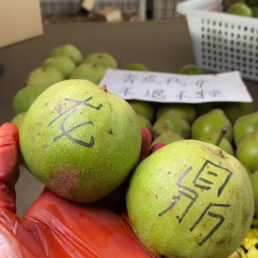 文玩核桃把件龙鼎青皮不退不换