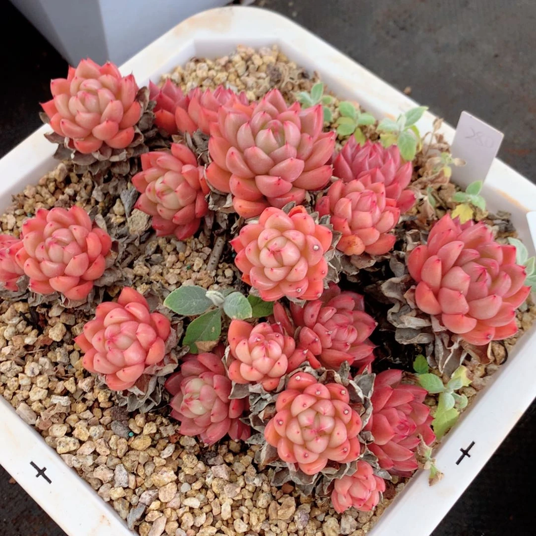 8961不包整散掉头特价处理