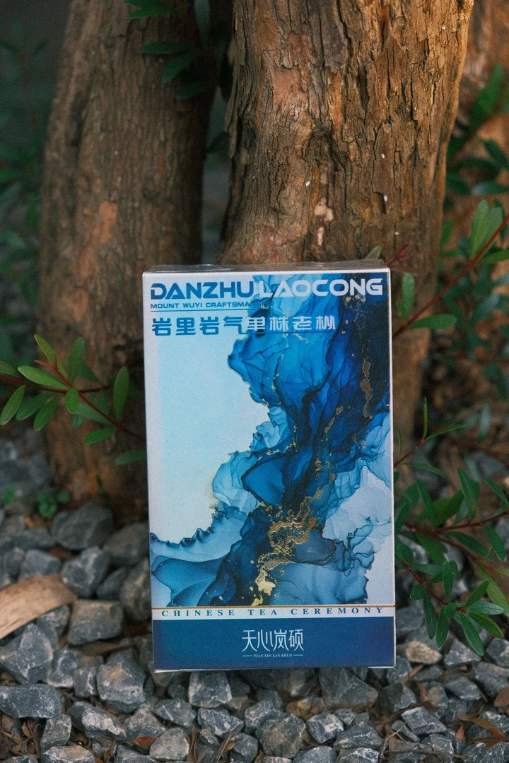 黑马茶仓【岩里岩气】单株老枞