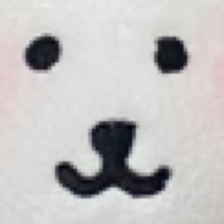 自嘲熊衣服补邮费（小眼镜也可以拍）