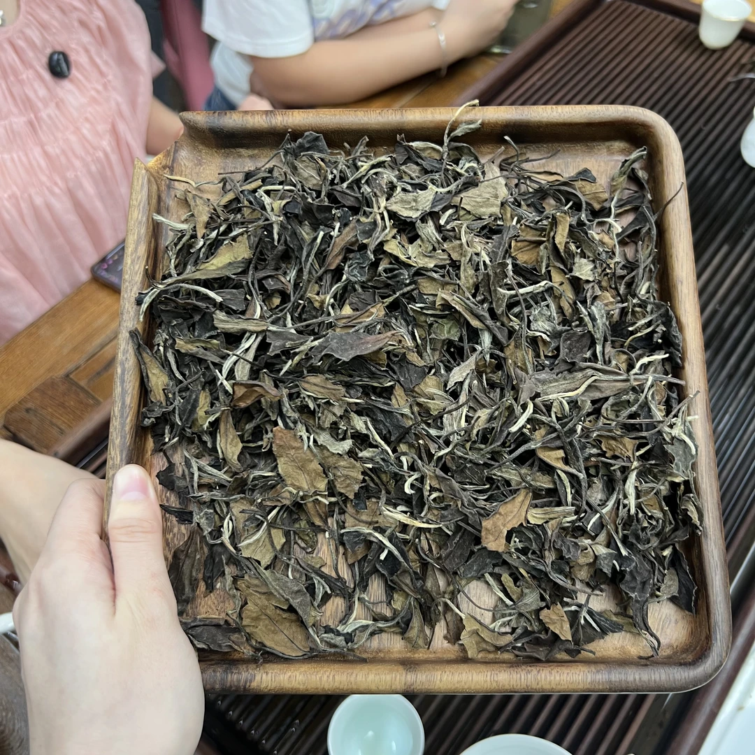 2009福鼎白茶老贡眉  ① 小鹿收茶 白茶 传统工艺  5月25