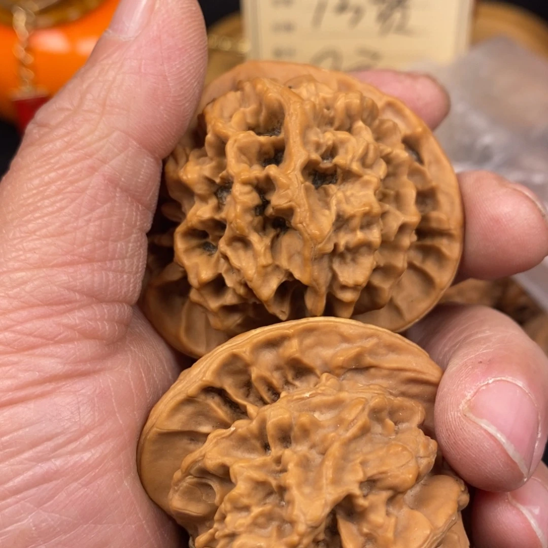 秦岭南北区有两块