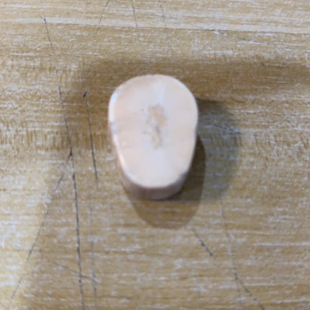 猛犸猛犸虬饼子 WT256