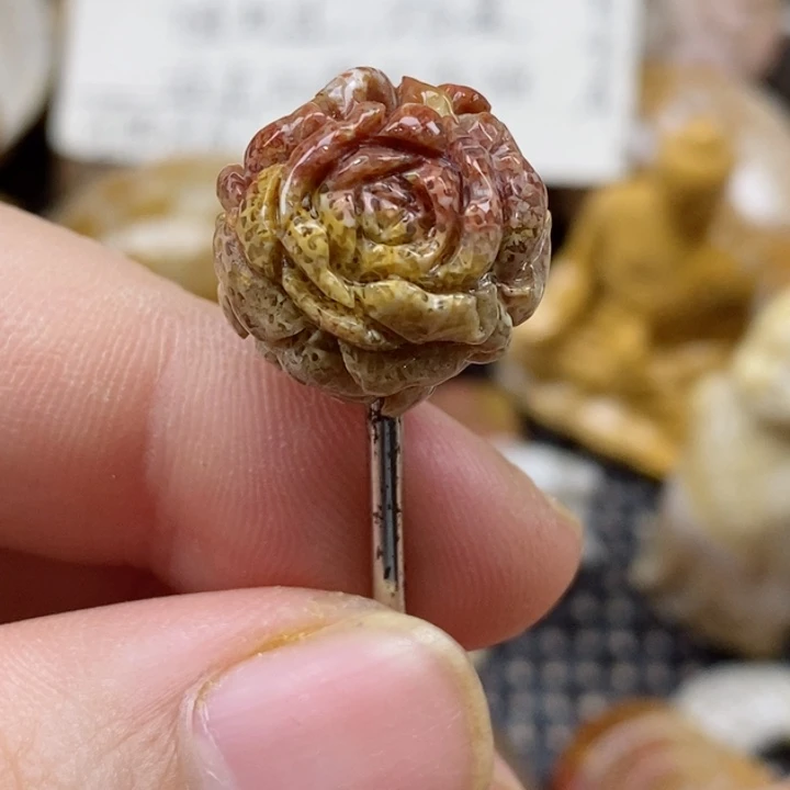 颈饰未镶嵌硅化珊瑚（珊瑚玉）通孔 小