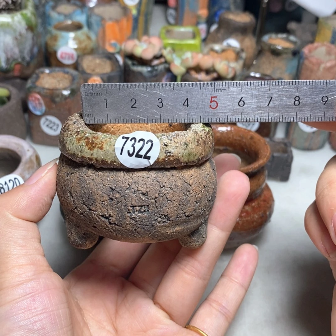 拍3送一个小礼物