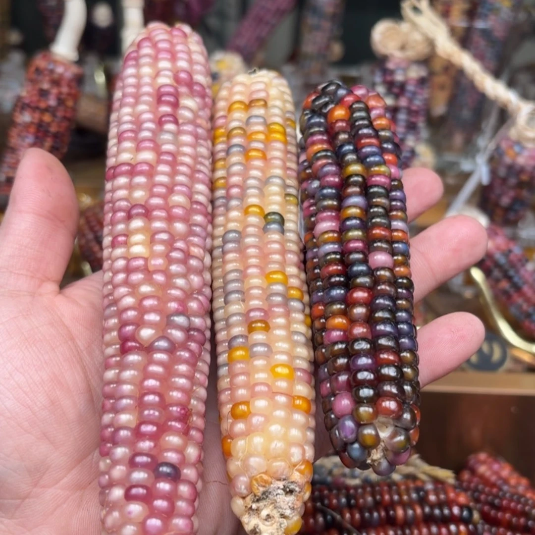 柏香籽/百香籽吊坠。**o