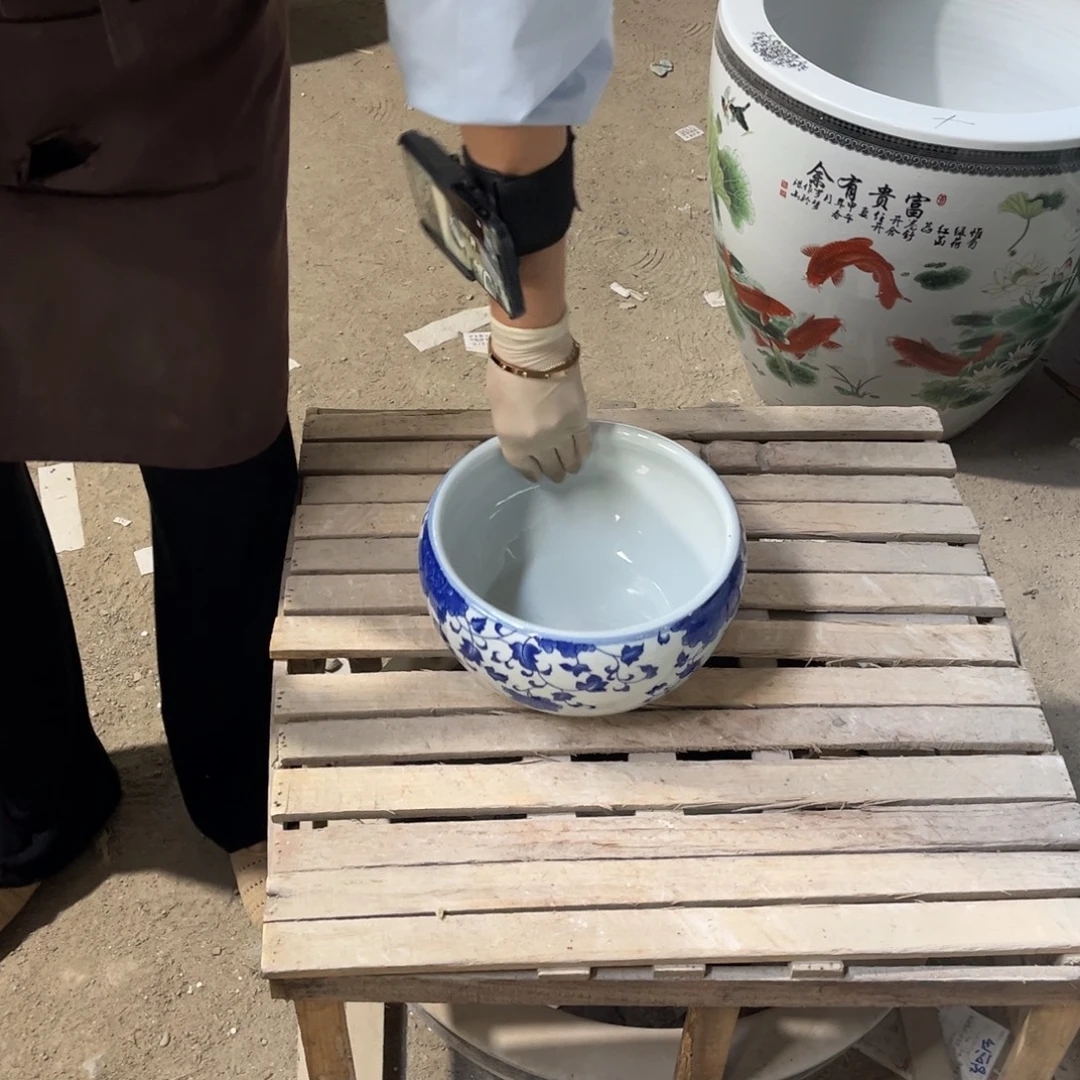 瓷片吊兰23.888888