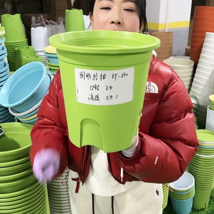 正品圆控口24高24果绿8只无托