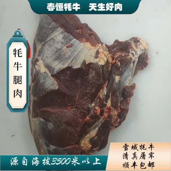 【牦牛前腿肉】4斤有牛毛 有筋膜甘肃顺丰