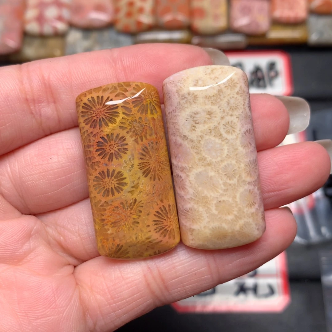 【闪购商品】未镶嵌颈饰硅化玉賀**?