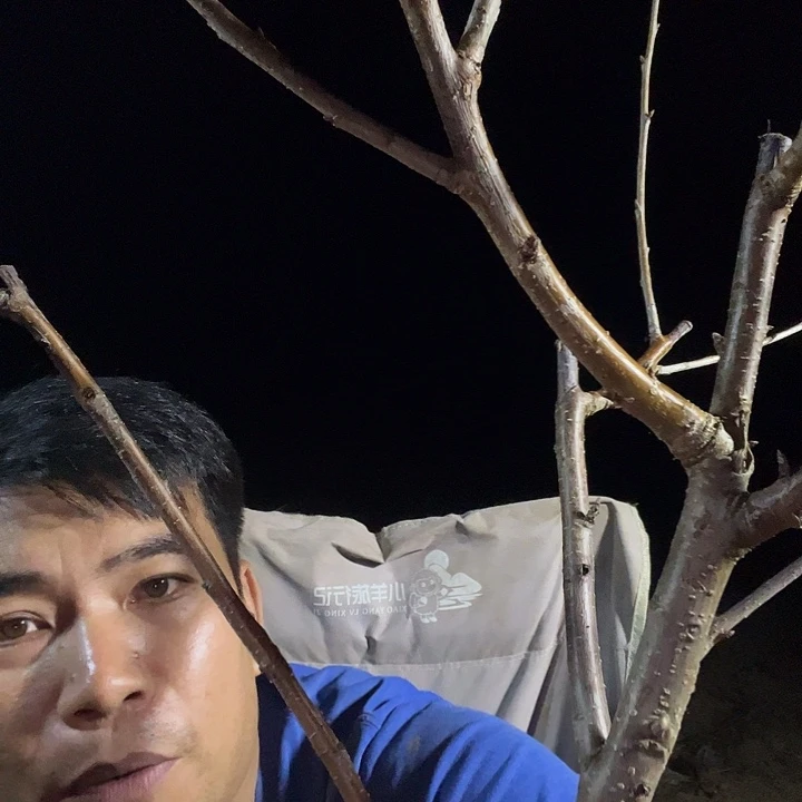 尘***埃当前无花栽培后可以开花62