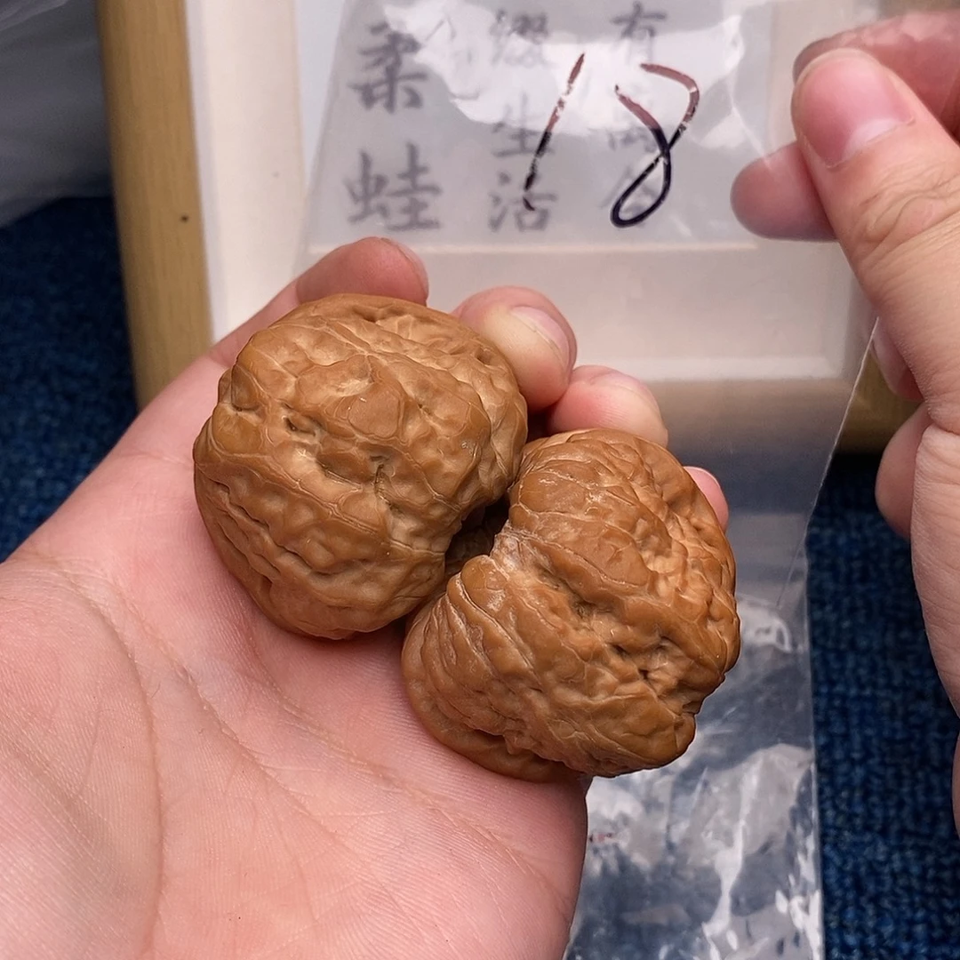 草***贼文玩核桃把件蛤蟆头45尺