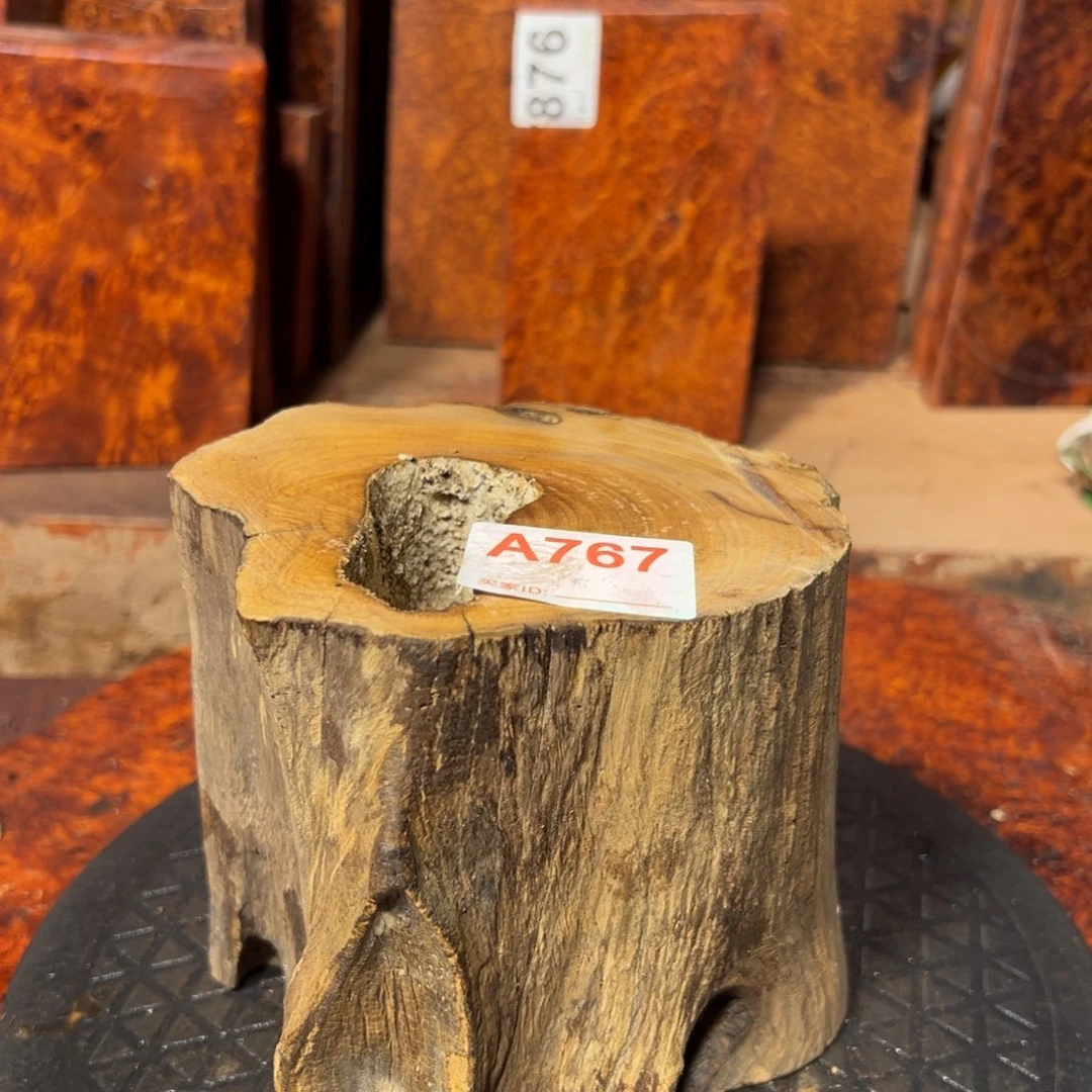 大果紫檀（缅甸花梨）