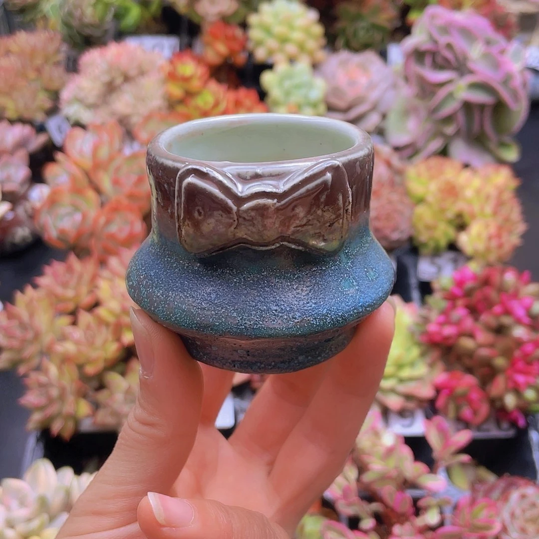 花钱花钱花钱花钱花钱