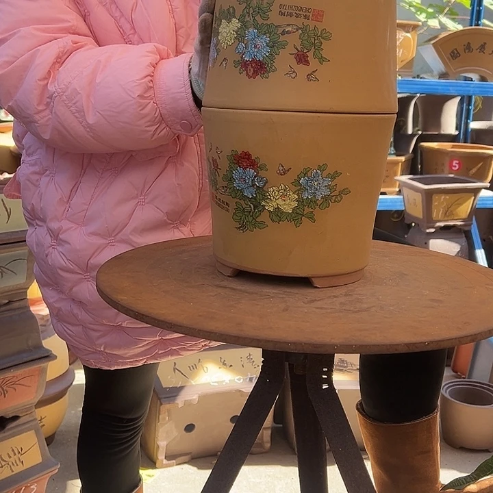 黄色花开富贵中一对
