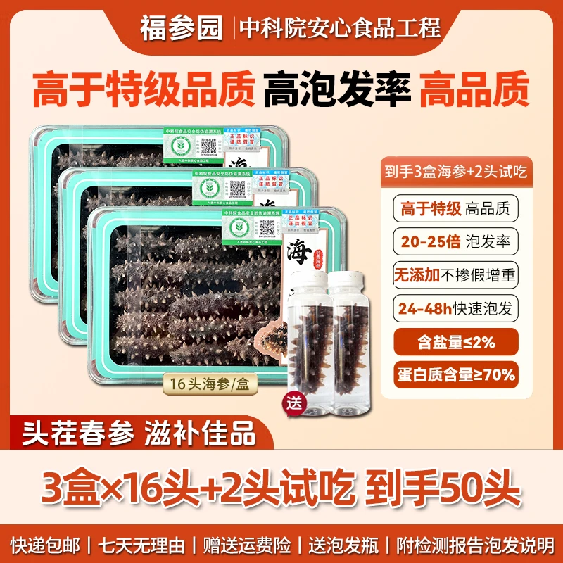 【50支大连头茬春参】正宗大连刺参0添加免煮营养滋补海参到手50只
