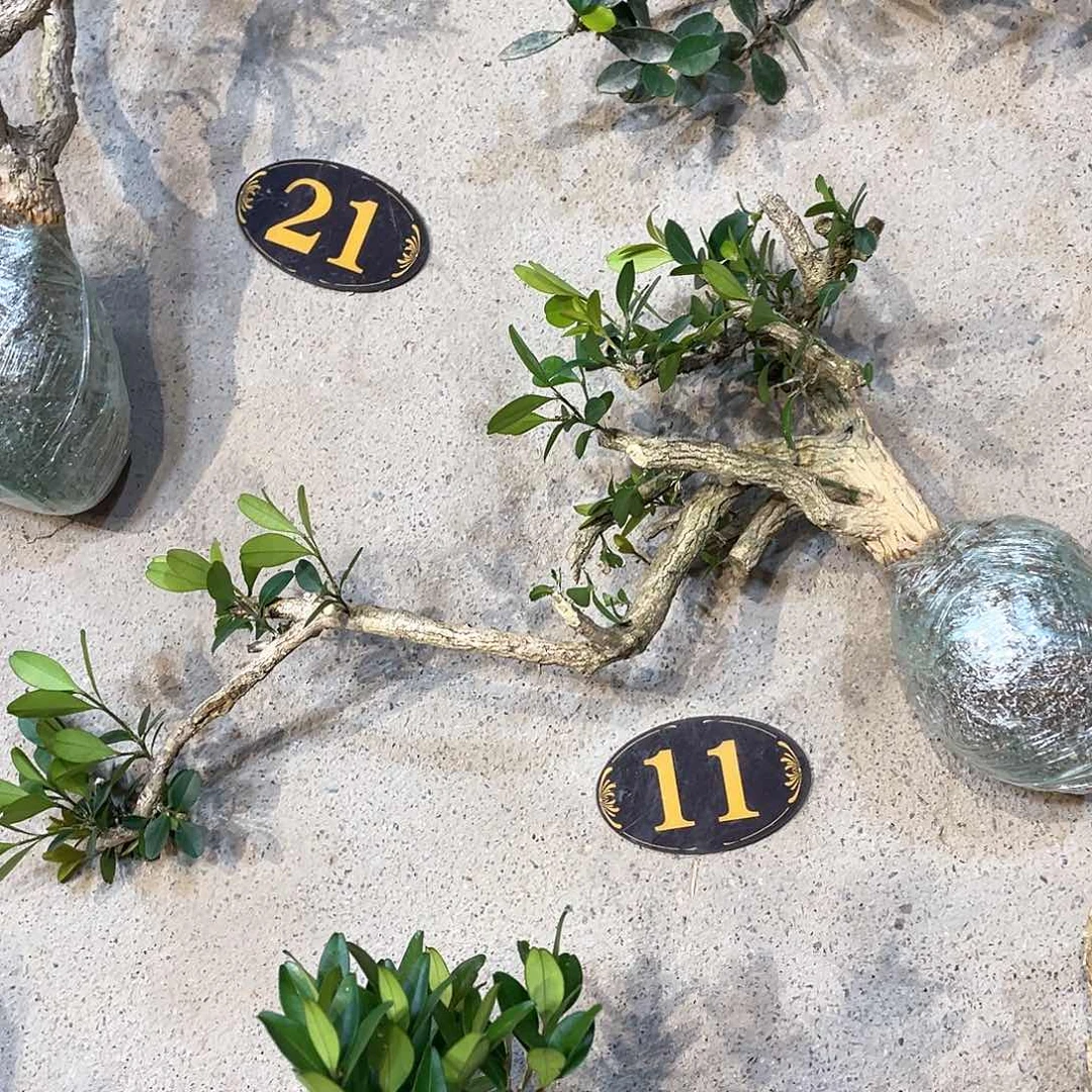 红陶刘*辉一起为梦想而加油啊我们