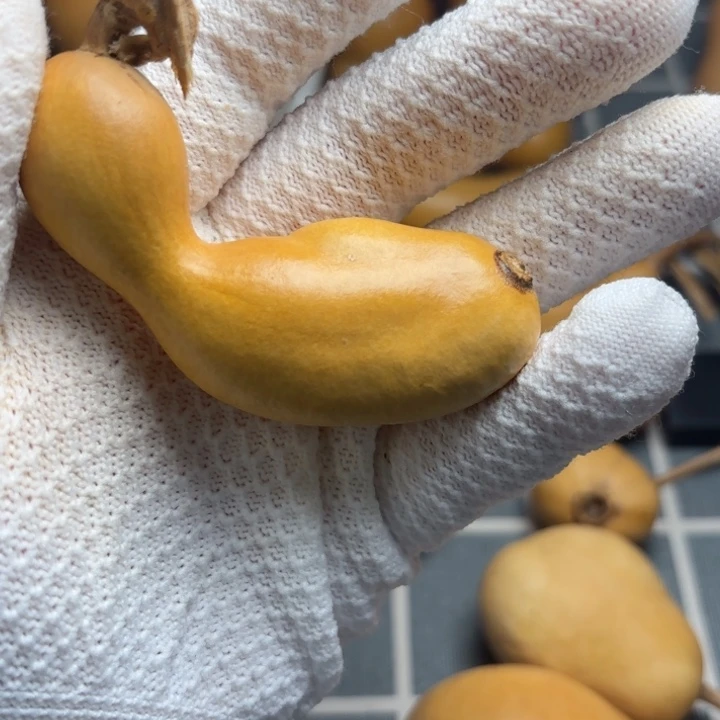 顽***咪6666666666666666666