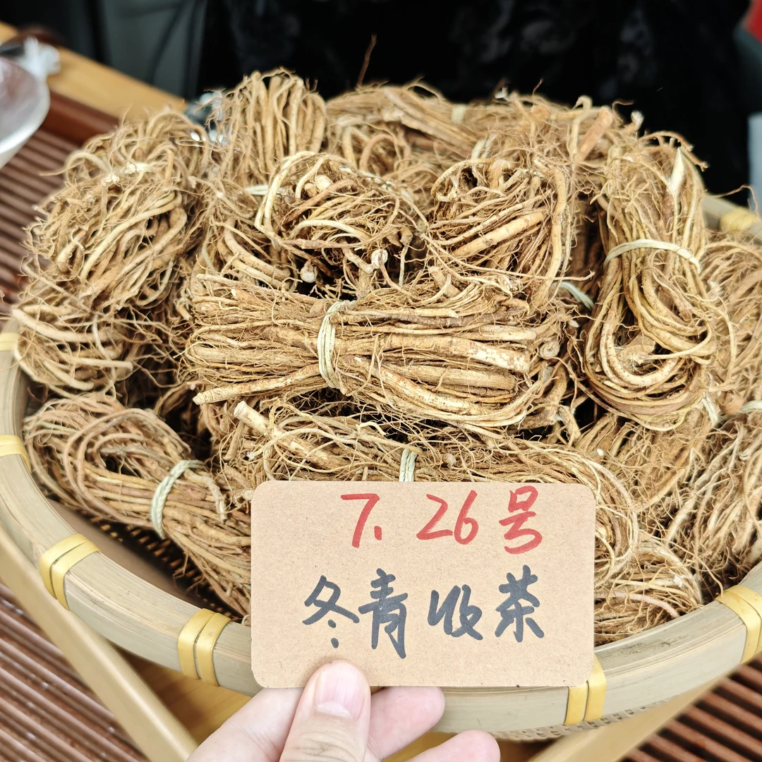 广东深山五指毛桃 不染色不熏硫 精选牛奶根 冬青收茶