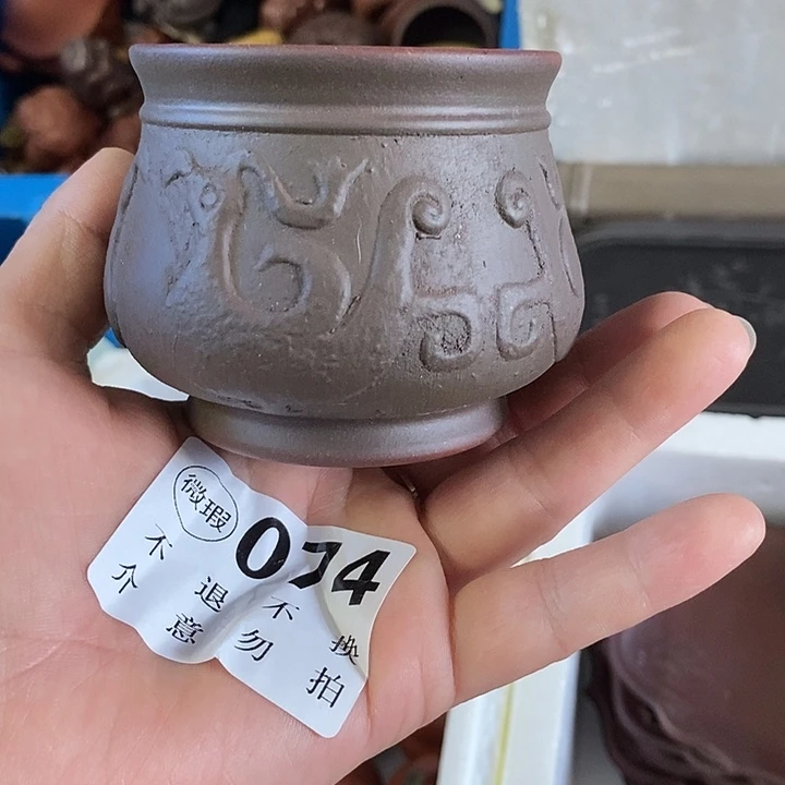 紫砂紫砂紫砂紫砂紫砂