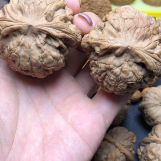 东***木核桃手串/手链龙顶