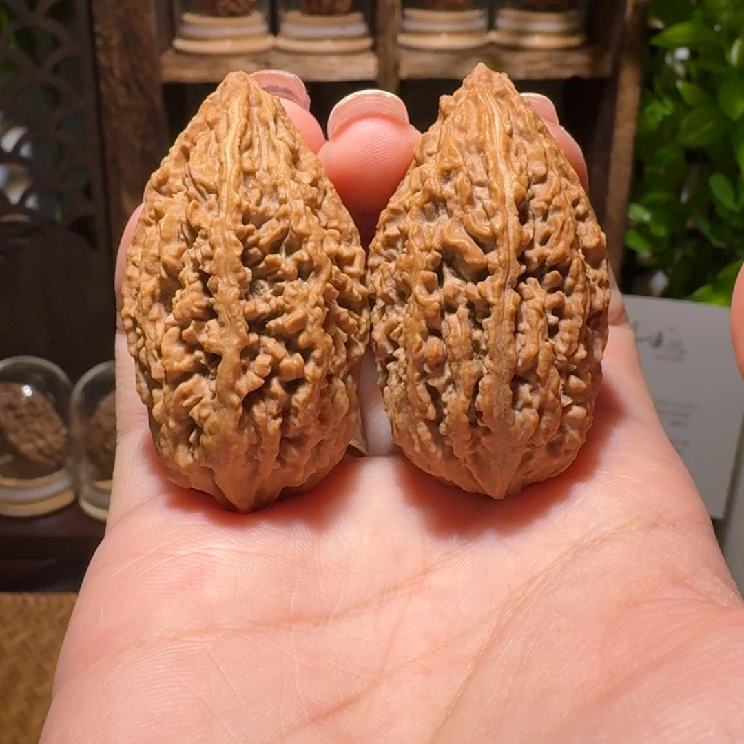 把件文玩核桃蚂蚁棍