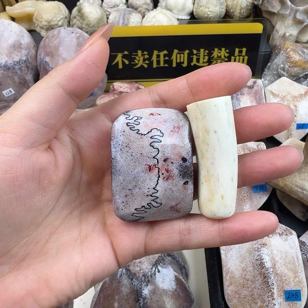 封***尘无非金属养殖鹿骨制品工艺品