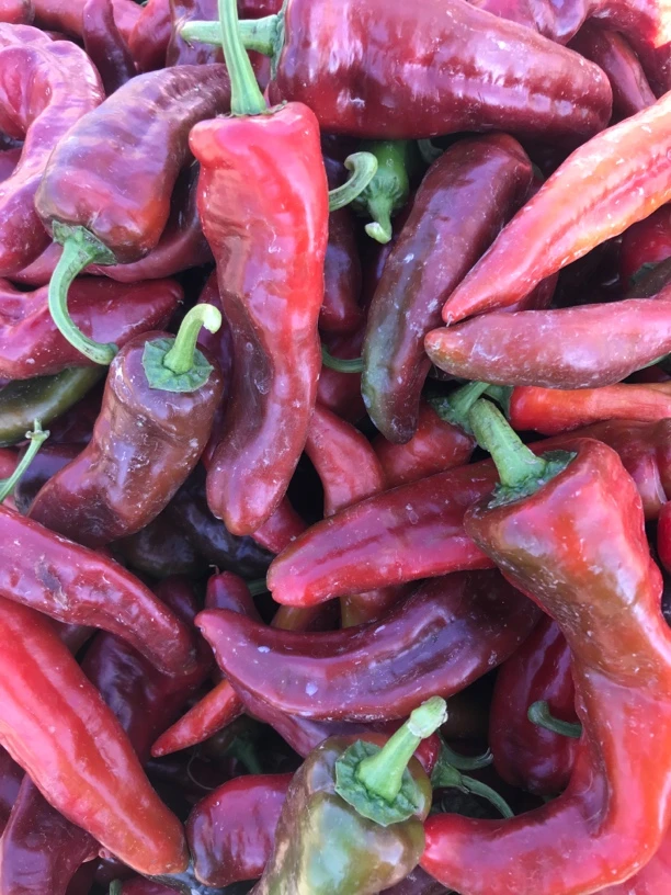 云南自家种植新鲜紫红皮辣椒红辣椒