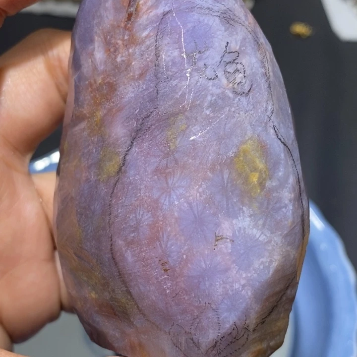 【闪购商品】未镶嵌珊瑚玉硅化玉