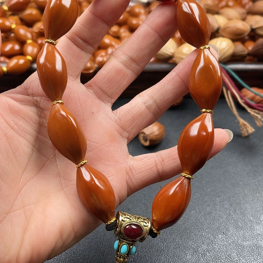 吊坠龙脊菩提橄榄树的叶子