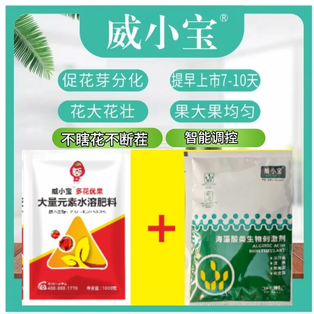 花芽分化 早开花早上市