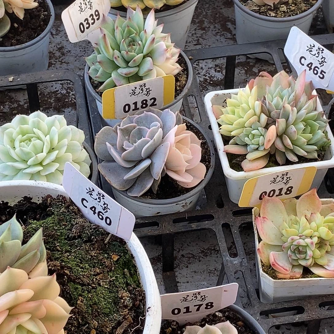 保温箱保温箱保温箱哈哈