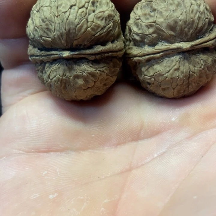 文玩核桃吊坠粗筋元宝