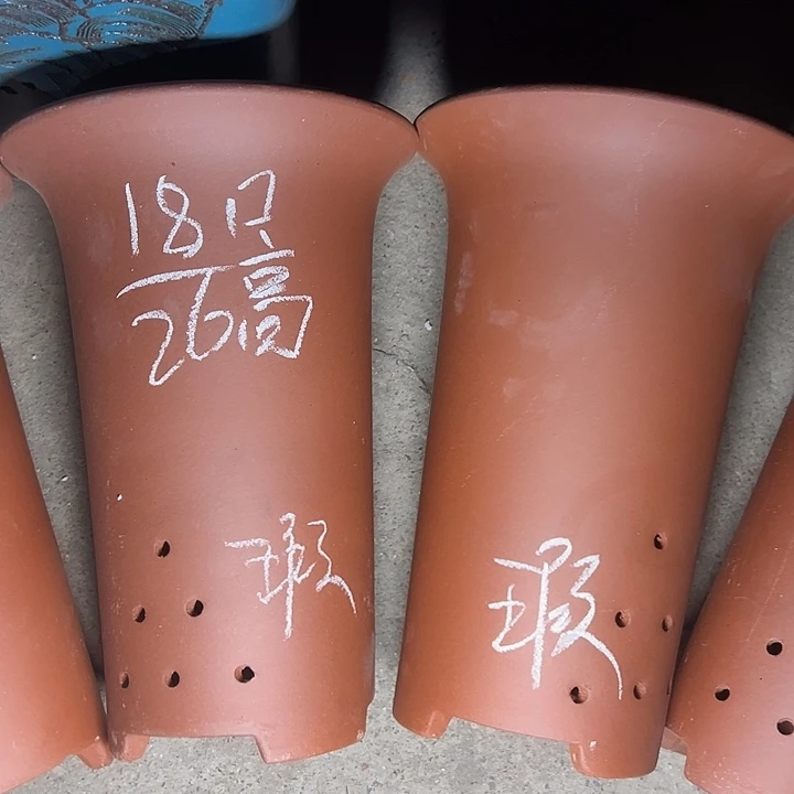 周深周深周深周深