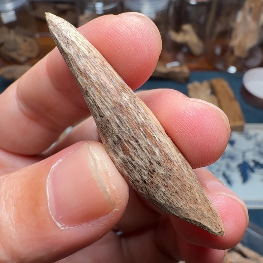 沉香国香海南瓜子