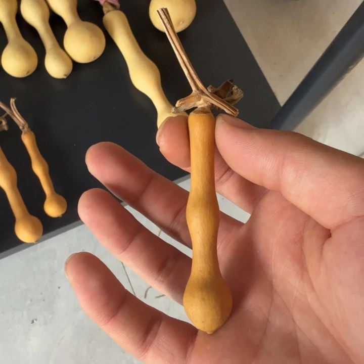 小***禄精品蚂蚁杆子周正