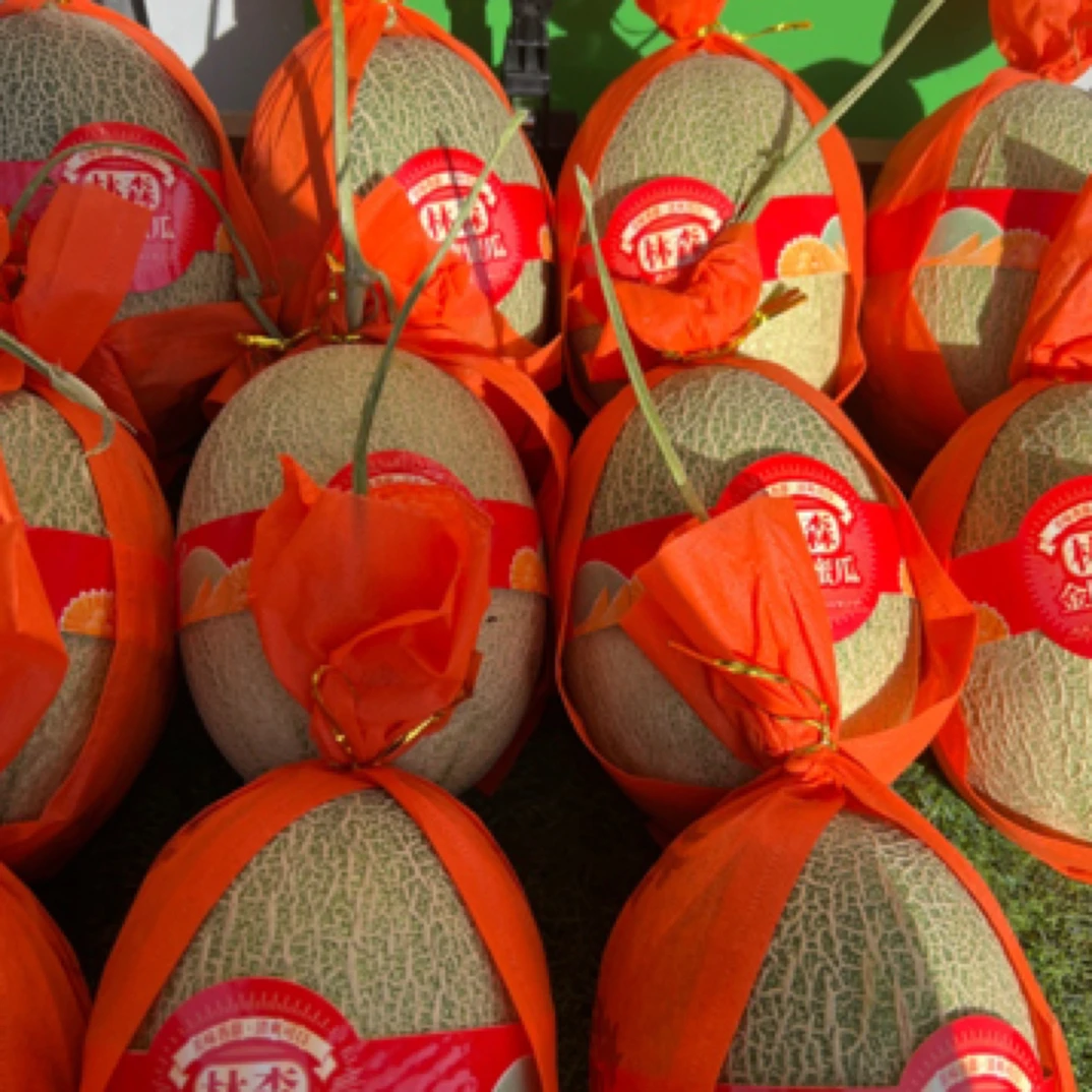 林森哈密瓜可切盒