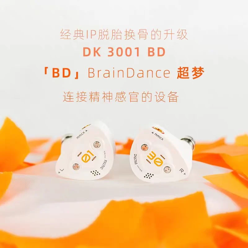 DUNU达音科DK3001BD超梦入耳式有线耳机高音质typec接口hifi耳塞