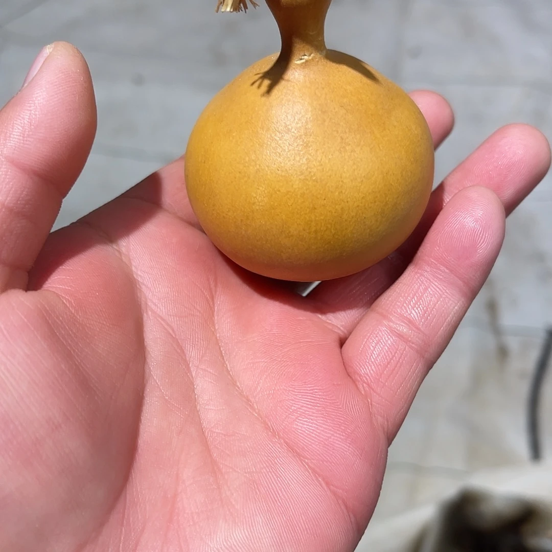 哈哈哈哈哈哈哈哈哈哈哈哈