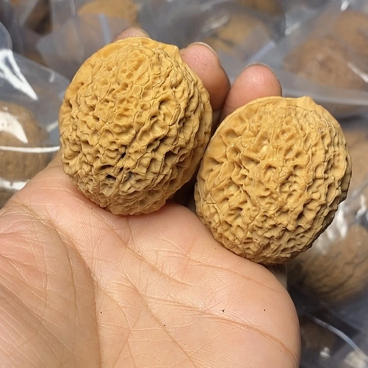 文玩核桃把件云南铁核桃43